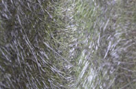 Howgill fibreglass roof work